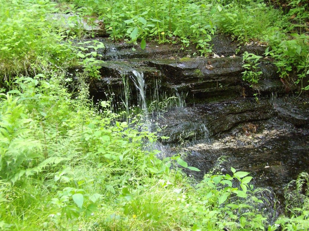 Photo of 155 Waterfall Hollow, Whittier, NC 28789 (MLS # 26047725)