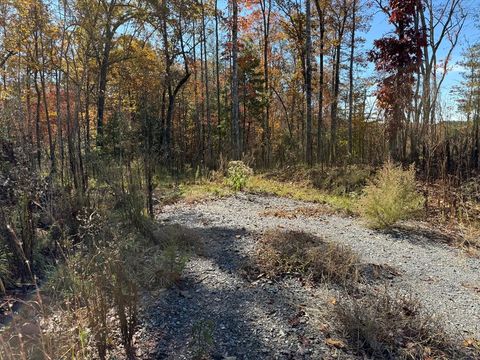 Photo of 270 Linda Ln, Murphy, NC 28906 (MLS # 26042644)