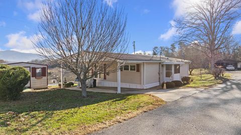 Photo of 58 Swallow Lane, Franklin, NC 28734 (MLS # 26042713)