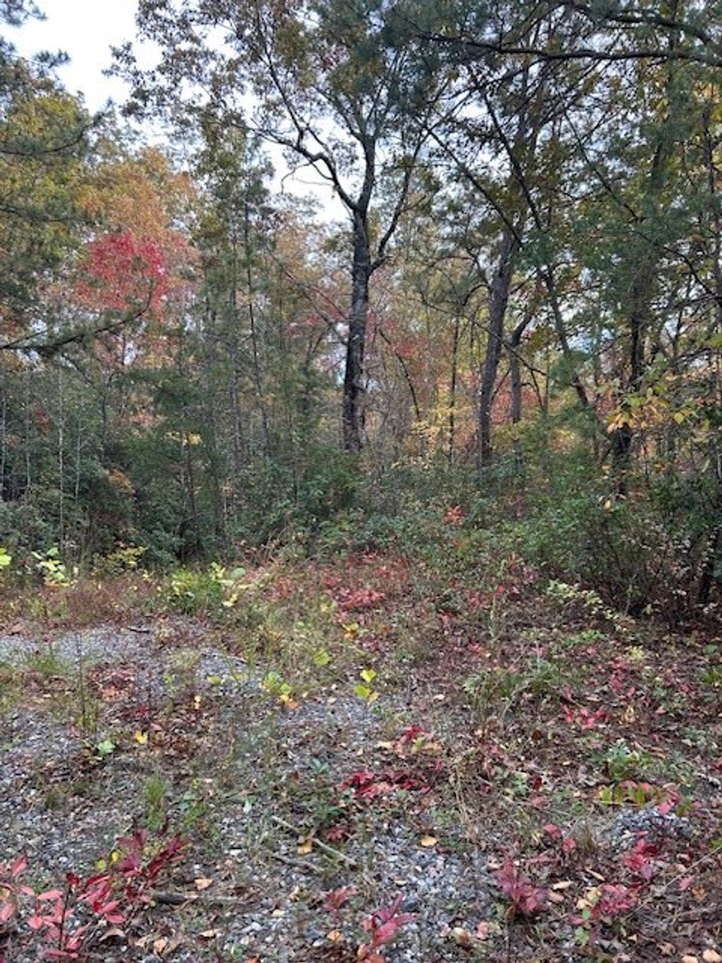 Photo of 0 Tara Hills, Whittier, NC 28789 (MLS # 26042531)