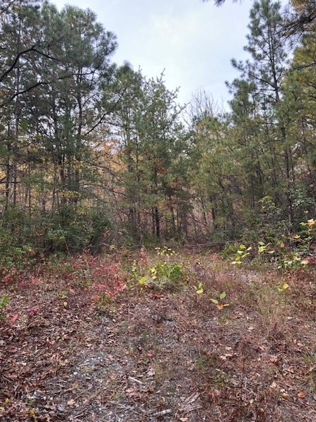 Photo of 0 Tara Hills, Whittier, NC 28789 (MLS # 26042531)