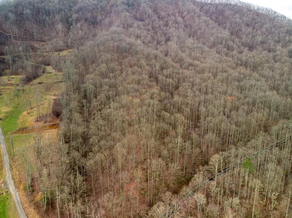 Photo of 00 Upper Tuskeegee Road, Robbinsville, NC 28771 (MLS # 26047282)