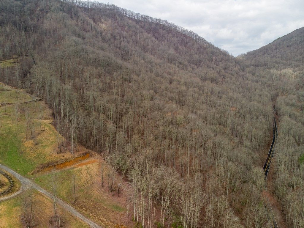 Photo of 00 Upper Tuskeegee Road, Robbinsville, NC 28771 (MLS # 26047282)