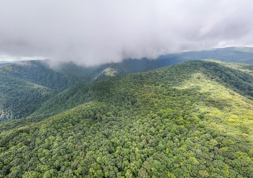Photo of 00 Huffman Creek Road, Robbinsville, NC 28771 (MLS # 26048835)