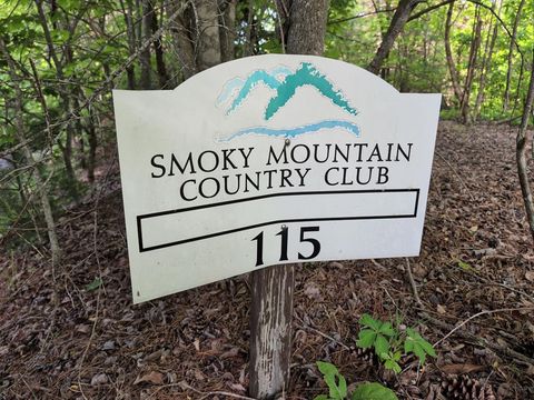 Photo of Lot 115 Summit Drive, Whittier, NC 28789 (MLS # 26047660)