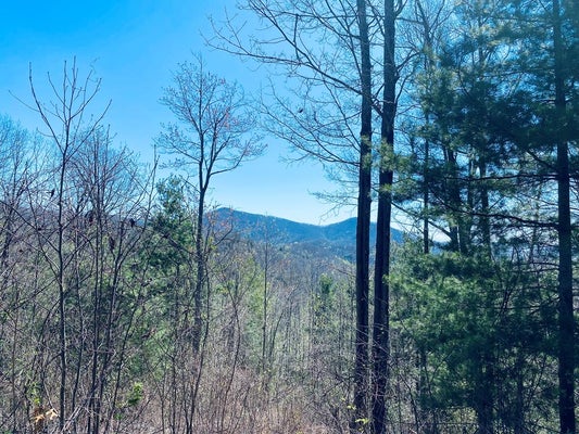 79 GARNET RD, SYLVA, NC 28779 - Image 86e341ac4ed1eb641dc6caef5e09b1c8/284478527