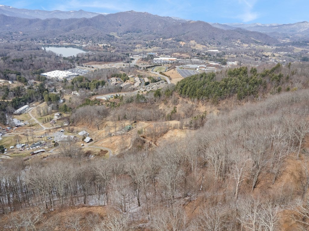 #5 Viewpoint Mountain