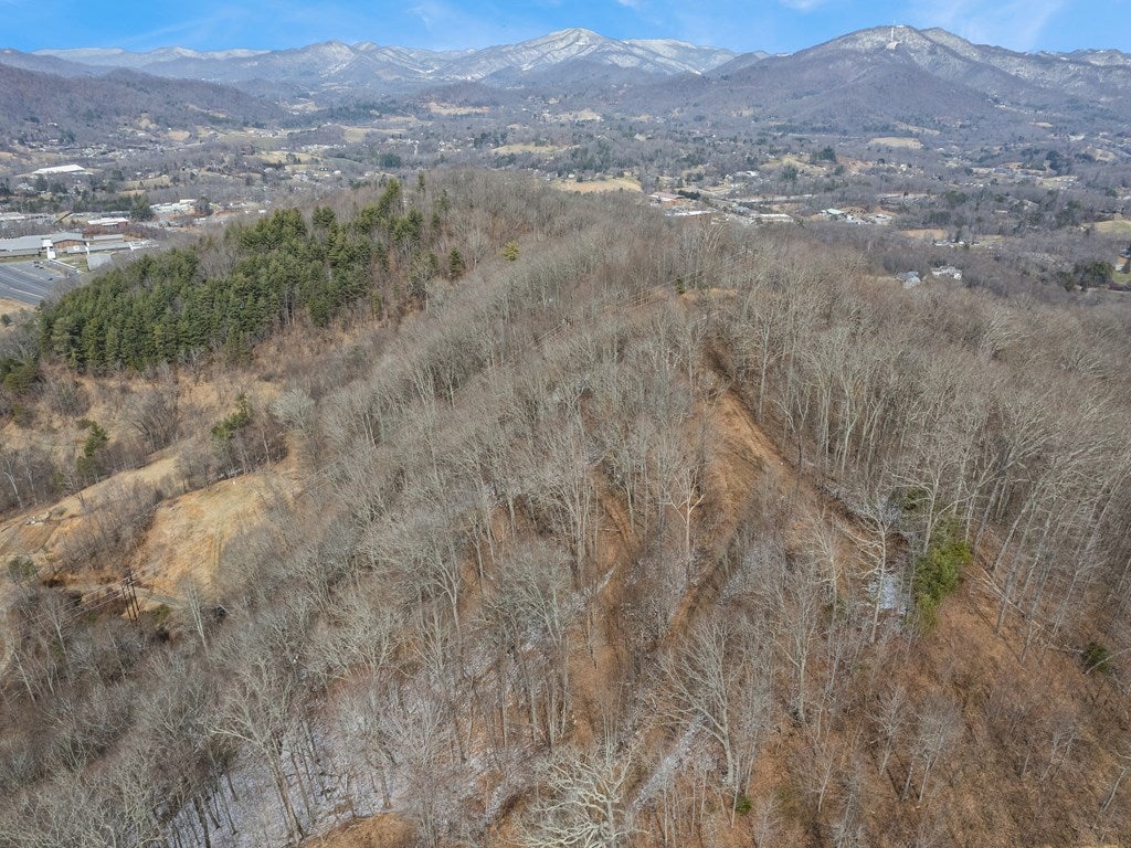 #5 Viewpoint Mountain