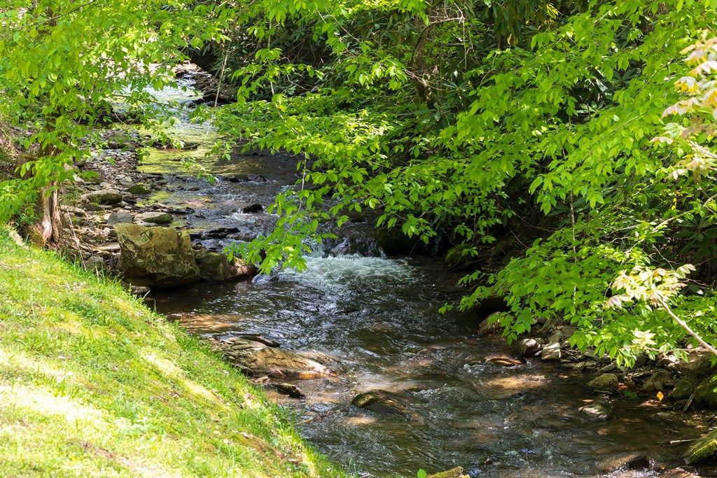 Photo of 200 Deep Gap Rd, Bryson City, NC 28713 (MLS # 26042829)