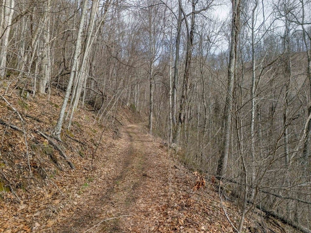 Photo of LT 34 Catnip Rd, Cullowhee, NC 28723 (MLS # 26046828)