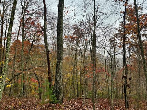 Photo of 0 Poplar Ridge Ln, Franklin, NC 28734 (MLS # 26042540)