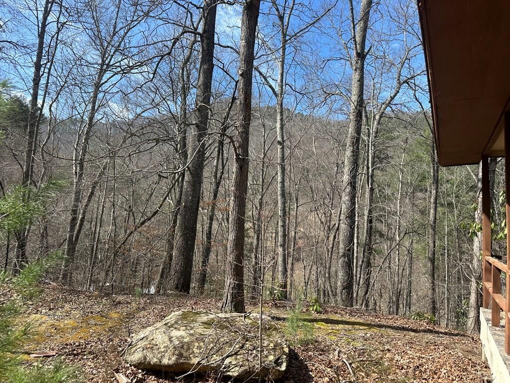 Photo of 55 Cocoa Ln, Cullowhee, NC 28723 (MLS # 26047092)