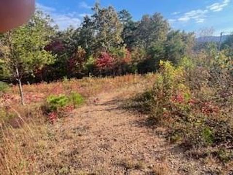 Photo of Lot 5 Jay Bird Trl, Franklin, NC 28734 (MLS # 26042673)
