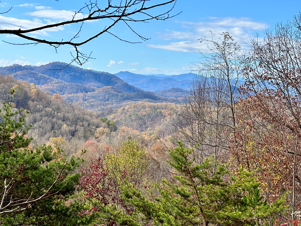 Lot 4 Charleston Ridge