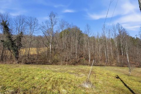 Photo of 00 Bryson Branch Road, Franklin, NC 28734 (MLS # 26045433)