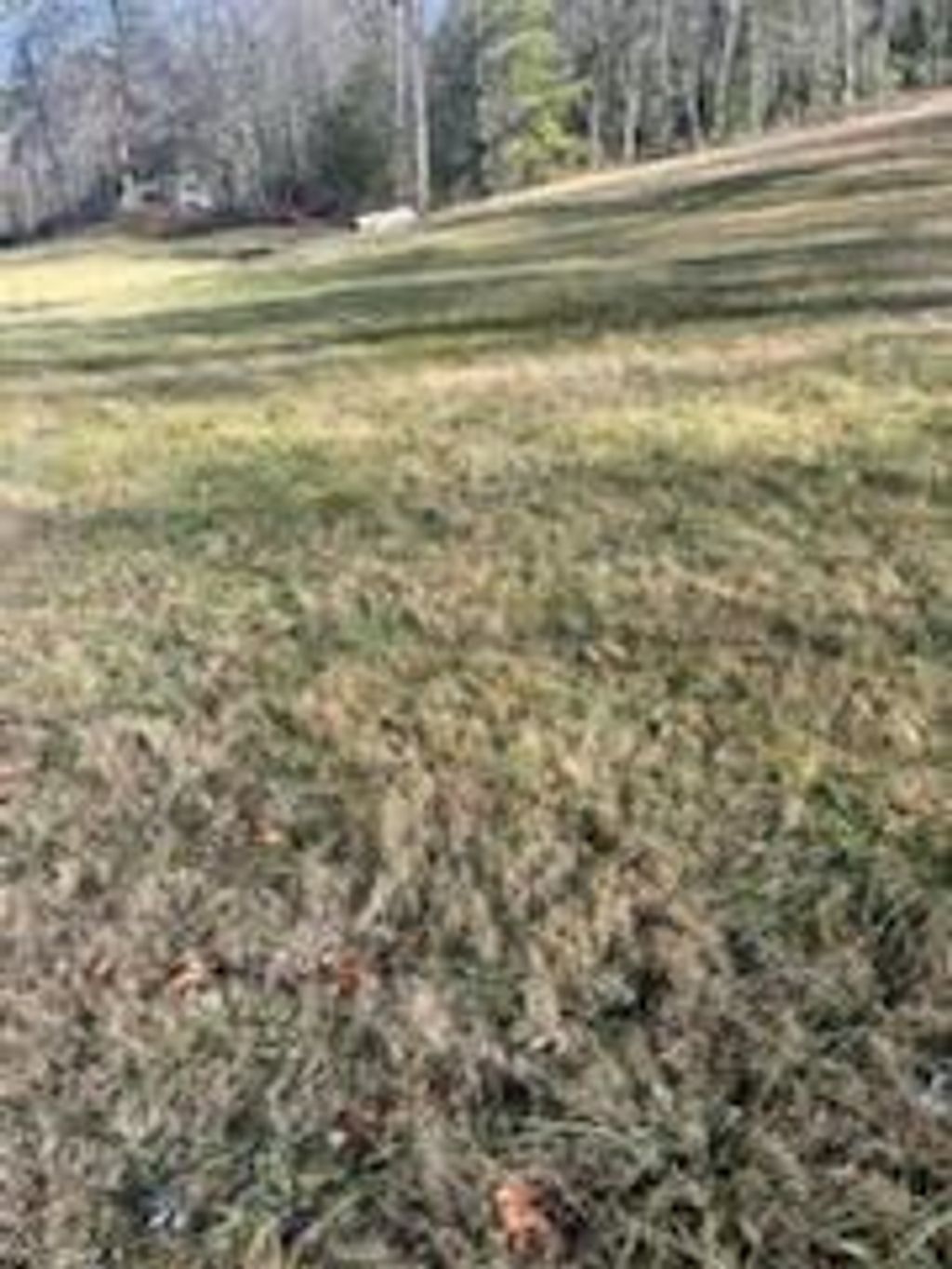 Photo of n/a Sitton Creek Road, Bryson City, NC 28713 (MLS # 26043024)