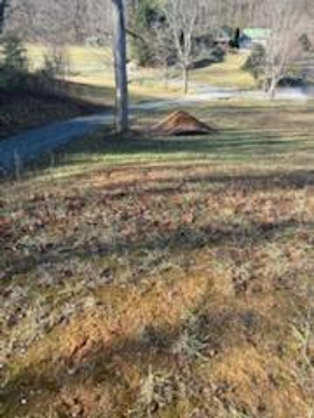 Photo of n/a Sitton Creek Road, Bryson City, NC 28713 (MLS # 26043024)