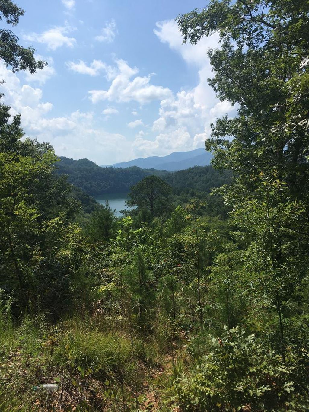 Photo of Lot 1A Laurel Creek - Round Hill Rd, Bryson City, NC 28713 (MLS # 26044229)