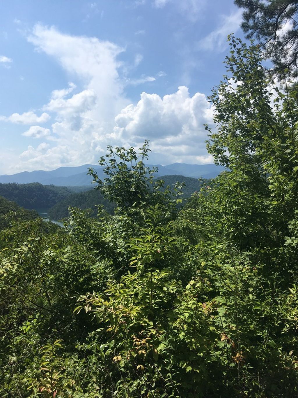 Photo of Lot 1A Laurel Creek - Round Hill Rd, Bryson City, NC 28713 (MLS # 26044229)