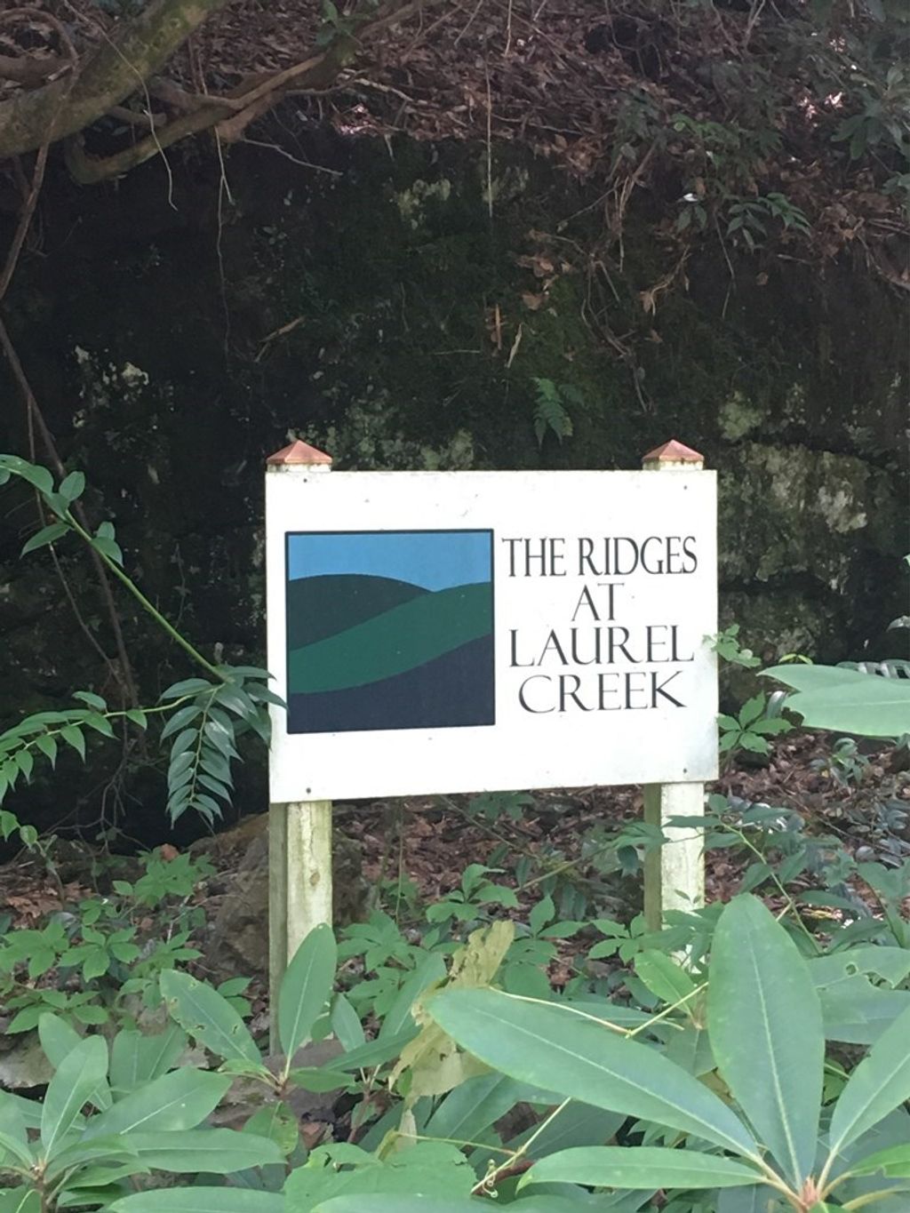 Photo of Lot 1A Laurel Creek - Round Hill Rd, Bryson City, NC 28713 (MLS # 26044229)