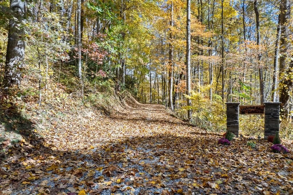 Photo of 00 Waterfall Hollow, Whittier, NC 28789 (MLS # 26046578)