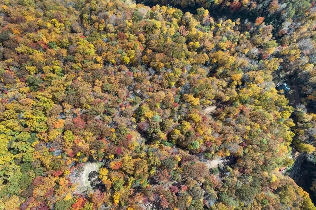 Photo of 00 Waterfall Hollow, Whittier, NC 28789 (MLS # 26046578)