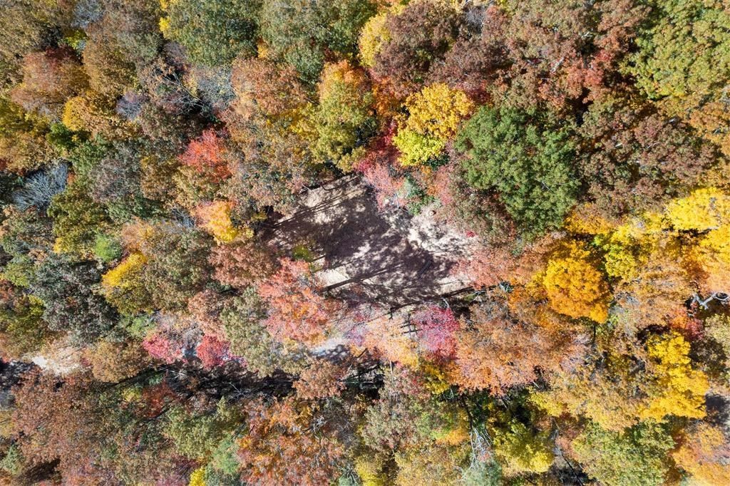 Photo of 00 Waterfall Hollow, Whittier, NC 28789 (MLS # 26046578)