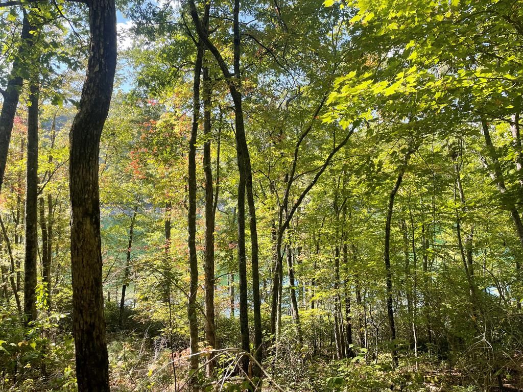 Photo of Lot 8-1 Lakes End, Bryson City, NC 28713 (MLS # 26042339)