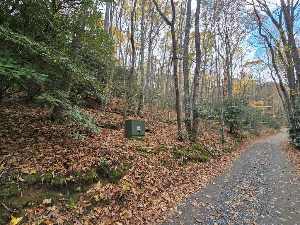 Photo of Lt 7 Buck Knob Is, Cullowhee, NC 28723 (MLS # 26042232)