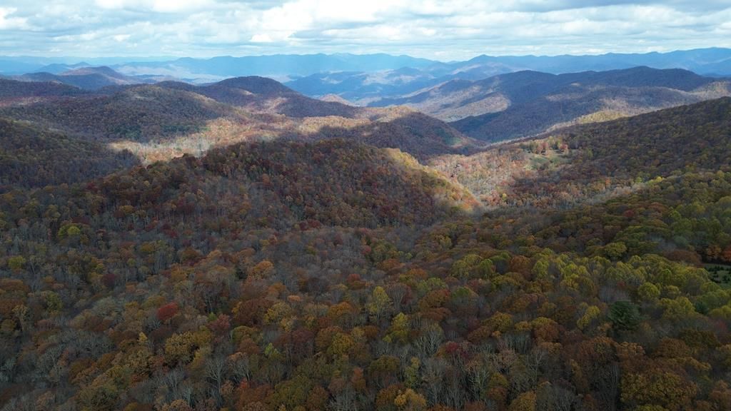 Photo of Lt 7 Buck Knob Is, Cullowhee, NC 28723 (MLS # 26042232)