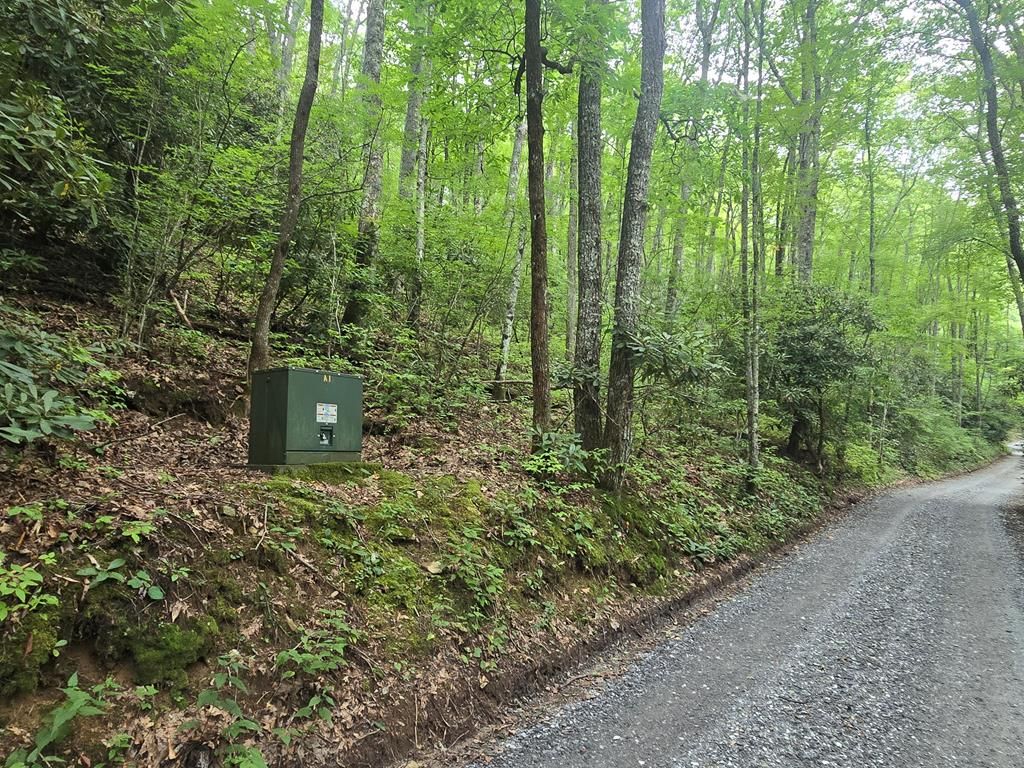Photo of Lt 7 Buck Knob Is, Cullowhee, NC 28723 (MLS # 26042232)