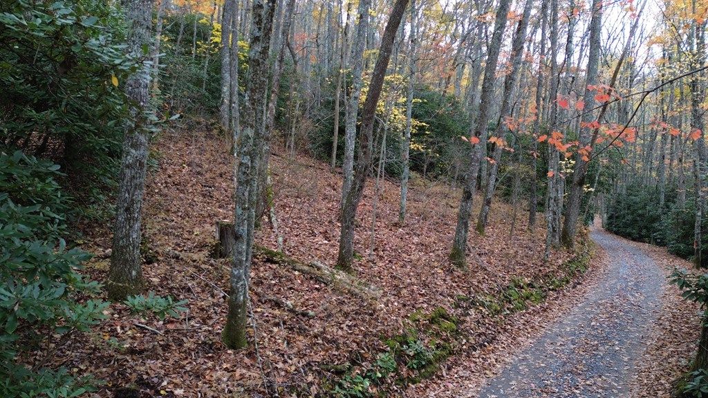 Photo of Lt 7 Buck Knob Is, Cullowhee, NC 28723 (MLS # 26042232)