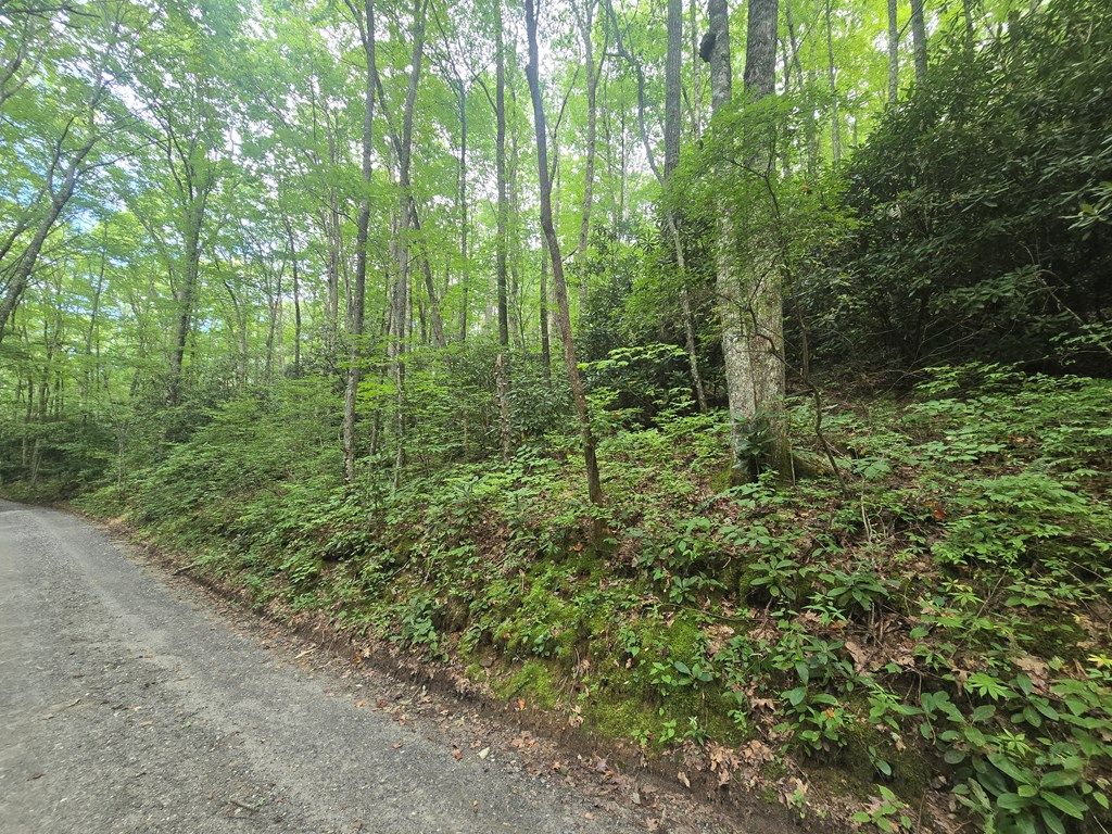 Photo of Lt 7 Buck Knob Is, Cullowhee, NC 28723 (MLS # 26042232)