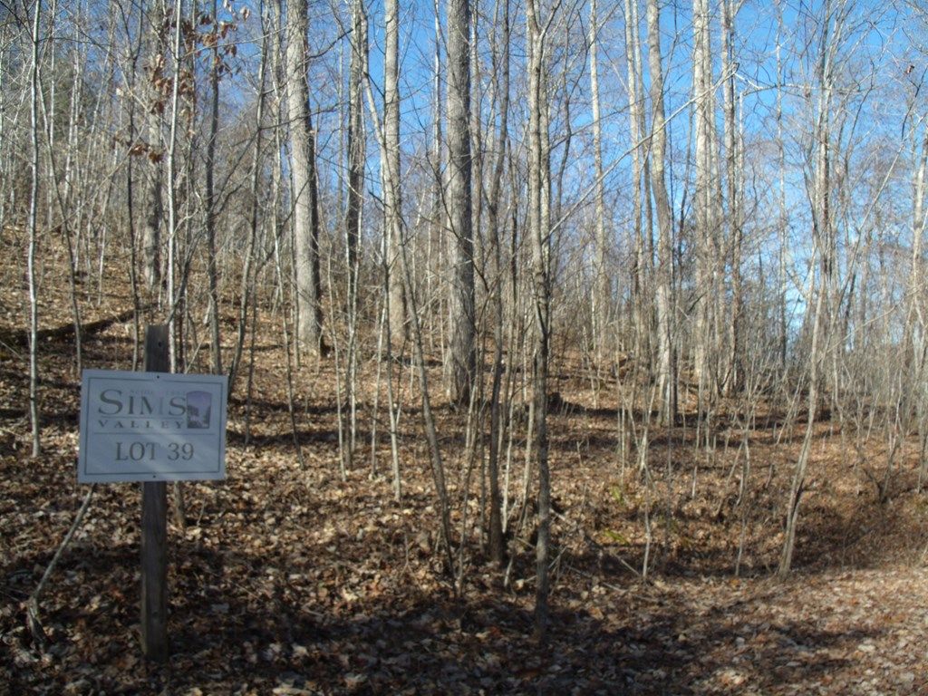 Photo of Lot 39 Sweetspring Trail, Glenville, NC 28736 (MLS # 26041155)