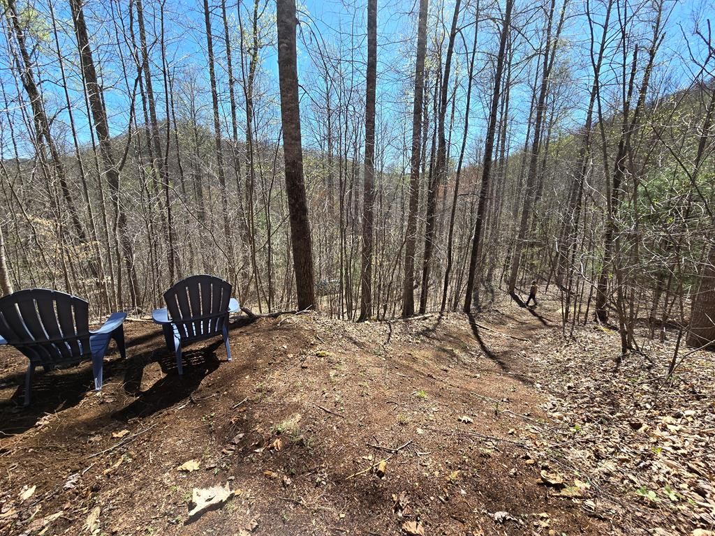 Photo of Lot 39 Sweetspring Trail, Glenville, NC 28736 (MLS # 26041155)