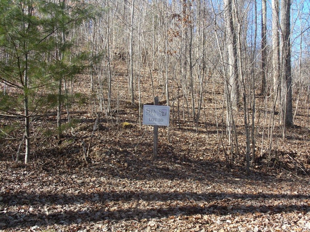 Photo of Lot 39 Sweetspring Trail, Glenville, NC 28736 (MLS # 26041155)