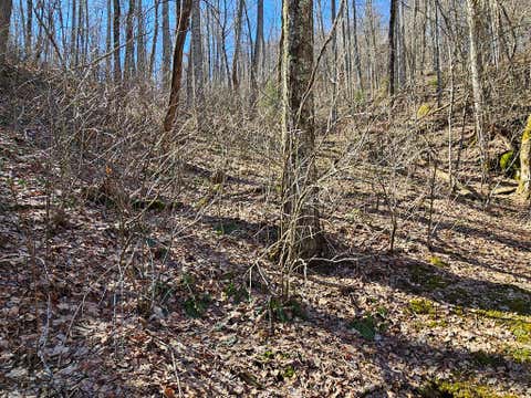 Photo of 00 Whisper Mountain Road, Franklin, NC 28734 (MLS # 26048125)