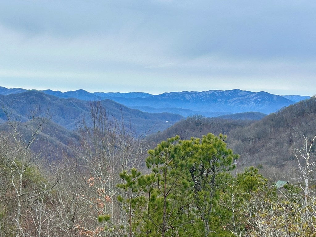 Photo of 25 Fairway Run, Bryson City, NC 28713 (MLS # 26047522)