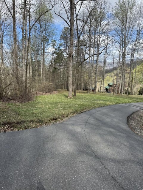 Photo of 1 E Wabash Dr, Sylva, NC 28779 (MLS # 26048597)