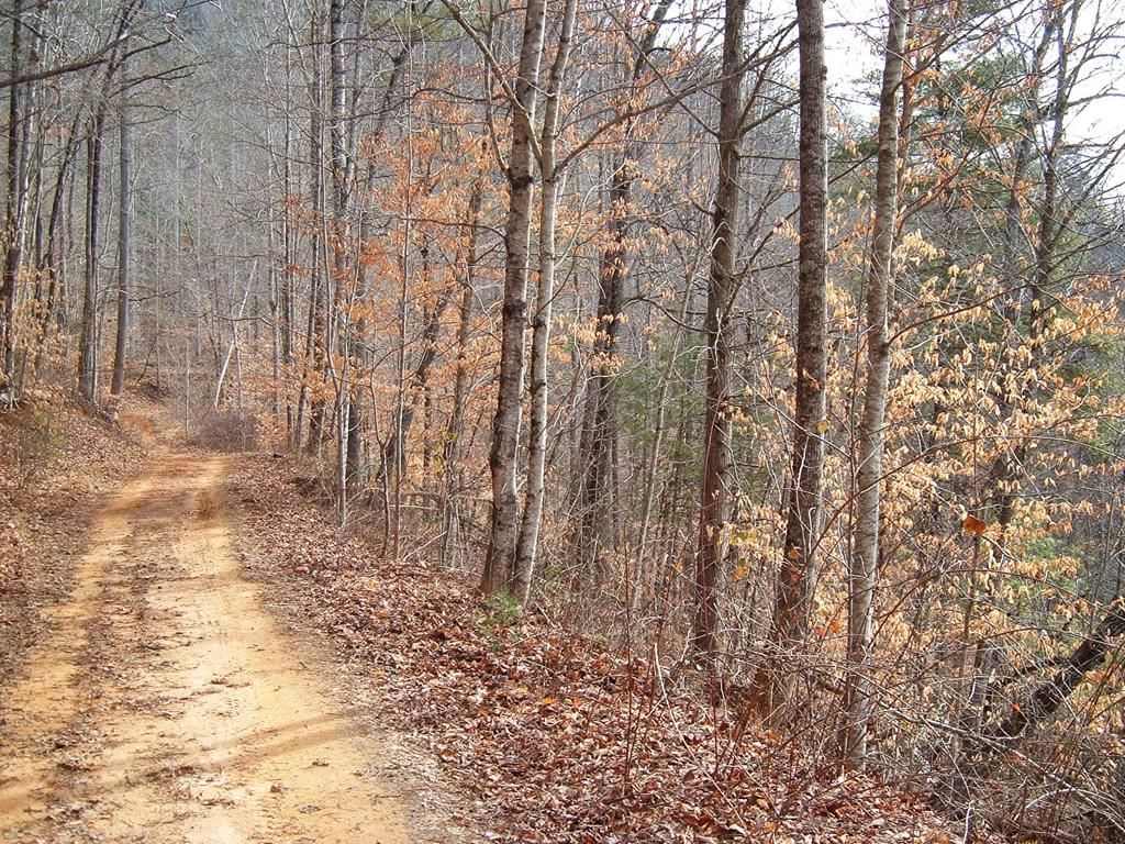 Photo of Lot 14 Cedar Cliff/Stovall, Tuckasegee, NC 28783 (MLS # 26046575)