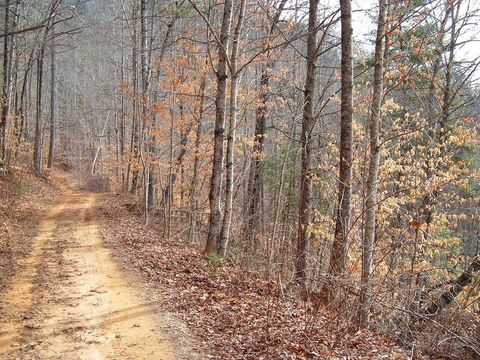 Photo of Lot 14 Cedar Cliff/Stovall, Tuckasegee, NC 28783 (MLS # 26046575)