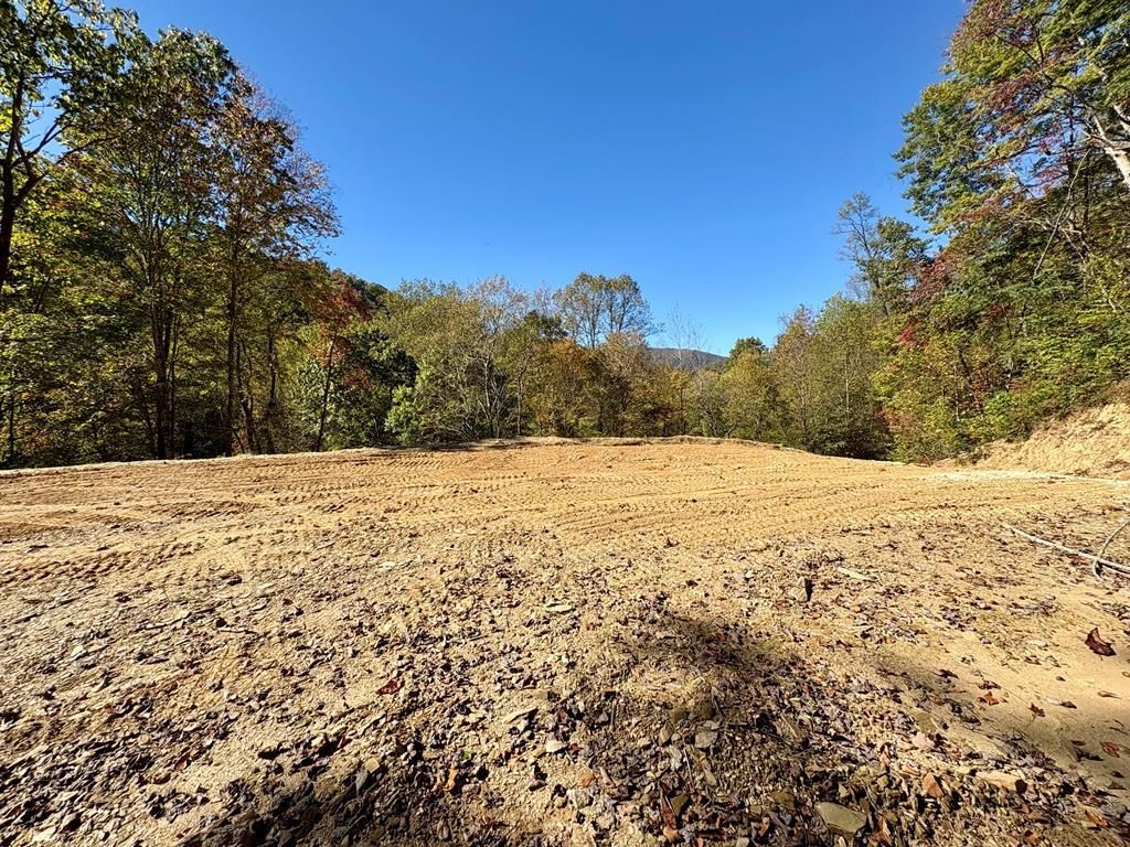 Photo of 0 Wilkes Road, Bryson City, NC 28713 (MLS # 26042434)