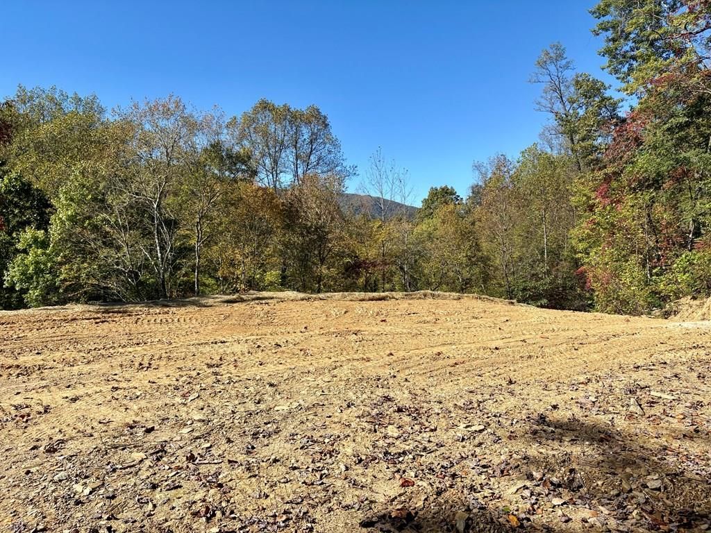 Photo of 0 Wilkes Road, Bryson City, NC 28713 (MLS # 26042434)