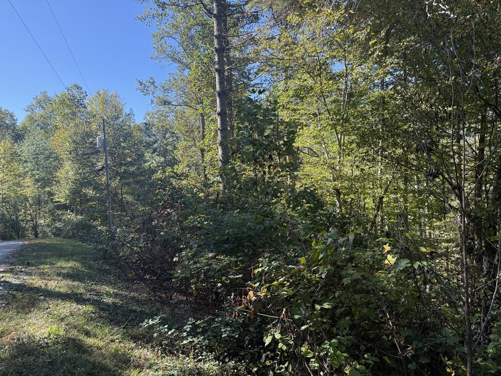 Lot 5 Tri-O-Hills
