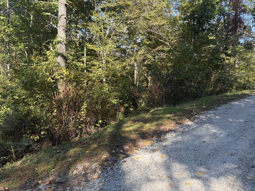 Lot 5 Tri-O-Hills
