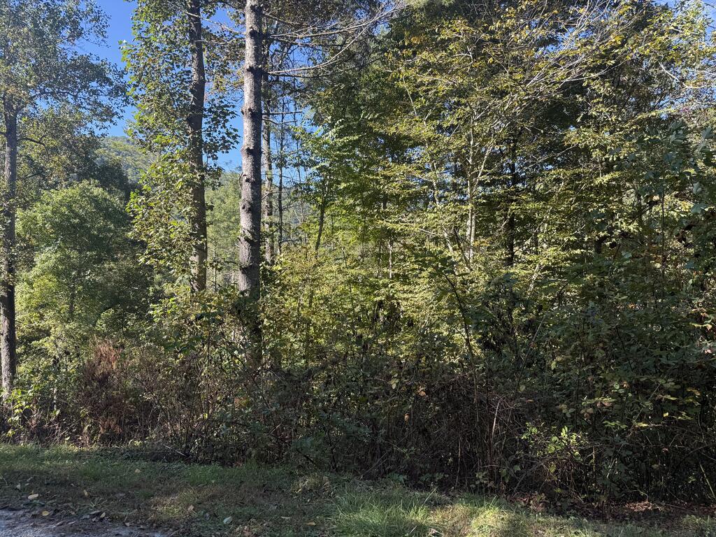 Lot 5 Tri-O-Hills