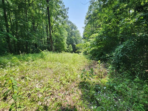 Featured picture for the property 26030831