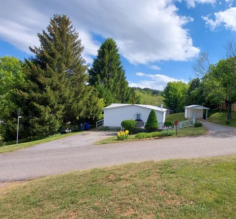 Photo of 46 Larkspur Lane, Canton, NC 28716 (MLS # 26047212)