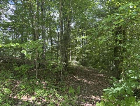 Photo of 1 Holly Ridge Dr, Topton, NC 28781 (MLS # 26047862)