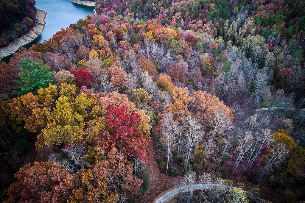 Photo of 0 Village Cove Dr, Bryson City, NC 28713 (MLS # 26024083)